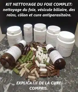 Kit de nettoyage du foie et de la vésicule biliaire, établissement cure KESER